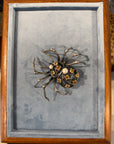 Bruno Da Rocha Spider Brooch, Silver and Citrines, 1980s