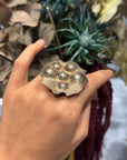 Organic playful ring with balls