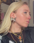 Silvery armor clips