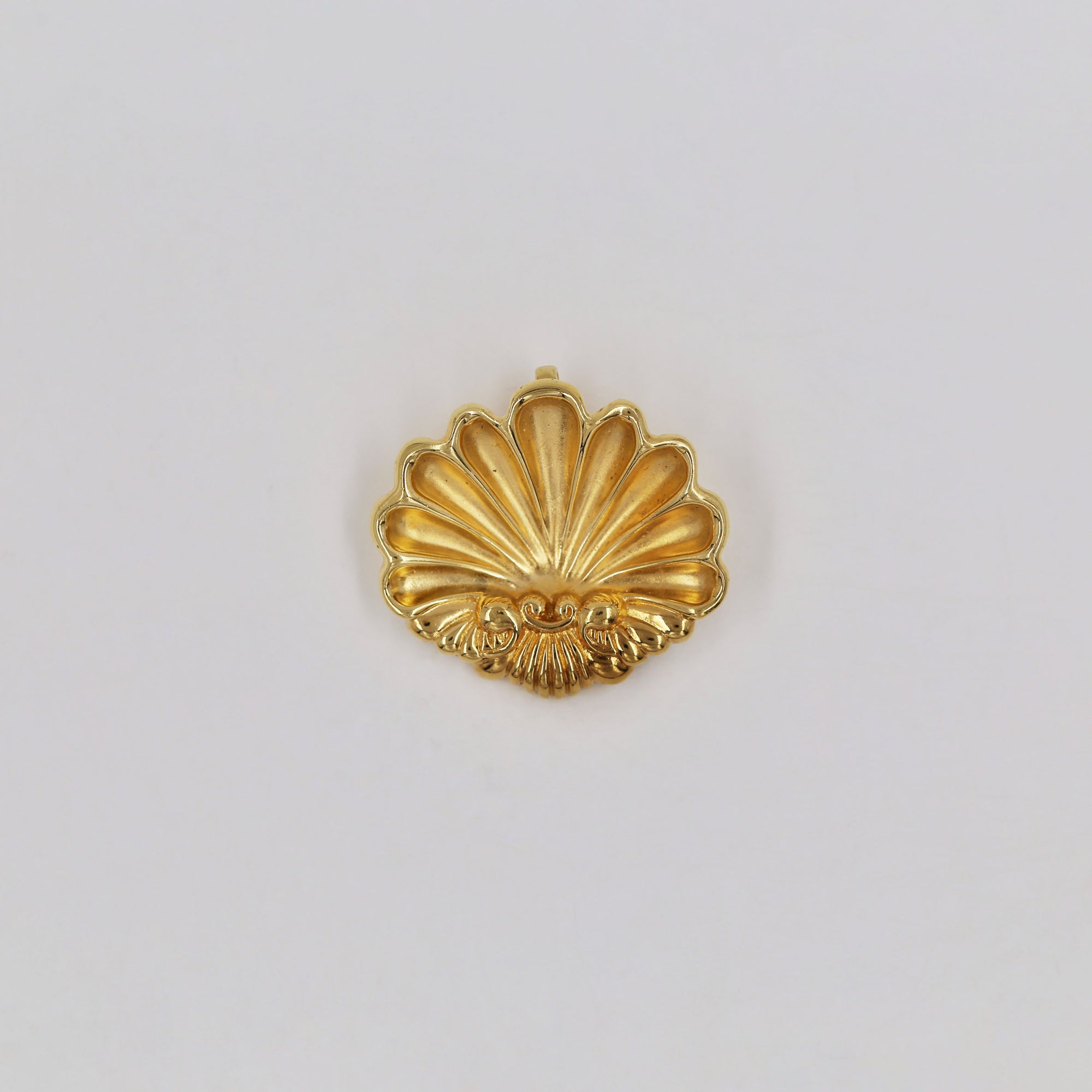Beautiful seashell brooch/pendant